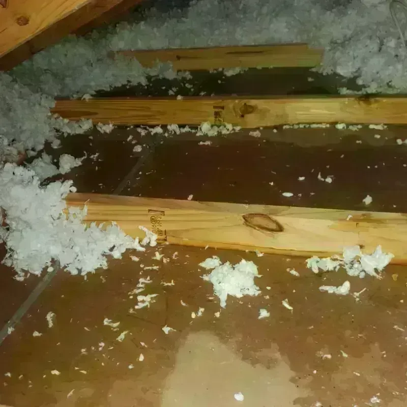 Attic Water Damage in Russell County, AL