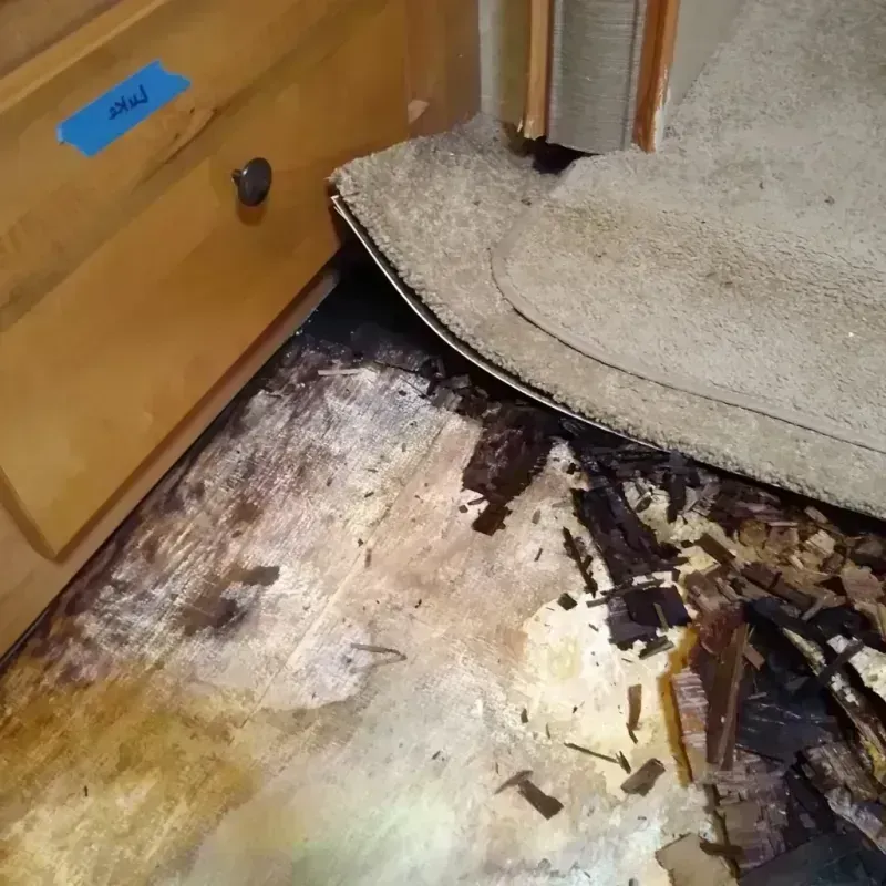 Wood Floor Water Damage in Russell County, AL